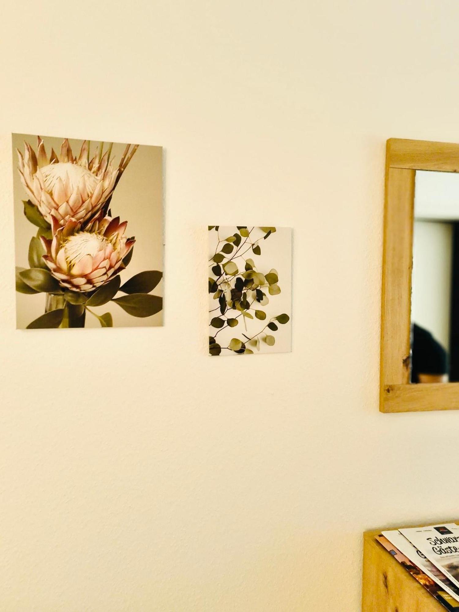 Ferienwohnung Baechle, Sehr Zentral Freiburg im Breisgau Ngoại thất bức ảnh